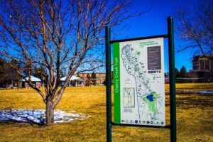 The Best of Glendale: Home of Forest Park 12