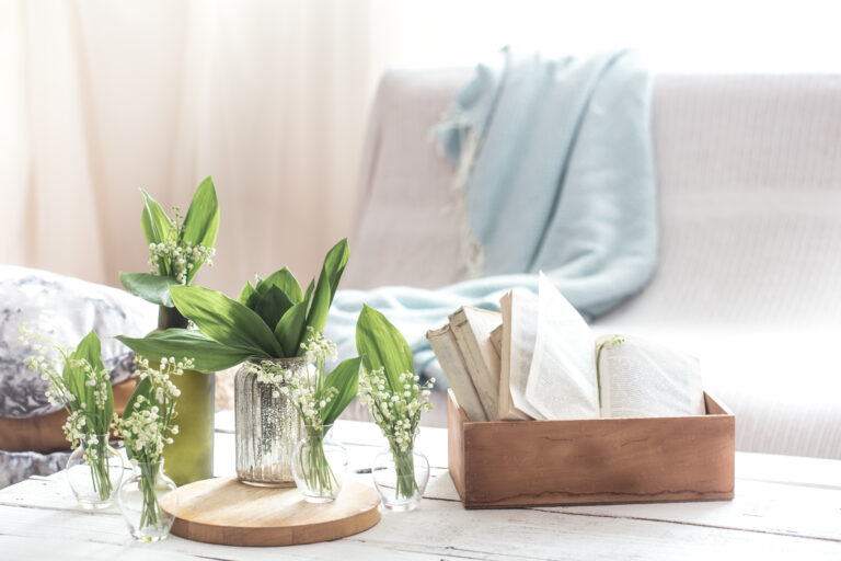 10 Easy Ways to Improve Indoor Air Quality and Live Sustainably