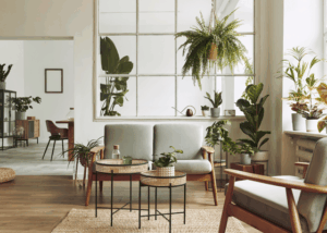 How Sustainable Building Materials Improve Your Home’s Health and Longevity