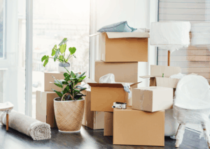 Downsizing in Denver: Tips for a Smooth Transition