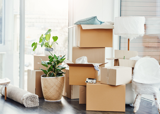🧳 The Ultimate Moving Checklist: 10 Steps to a Smooth Move